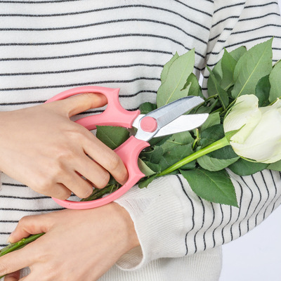 插花剪剪刀家用园艺宽头花艺花剪鲜花花道剪花枝树枝修花修枝工具