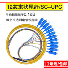 12芯束状尾纤SC/LC/FC UPC方头单模光纤线尾纤线圆头熔纤盘电信级