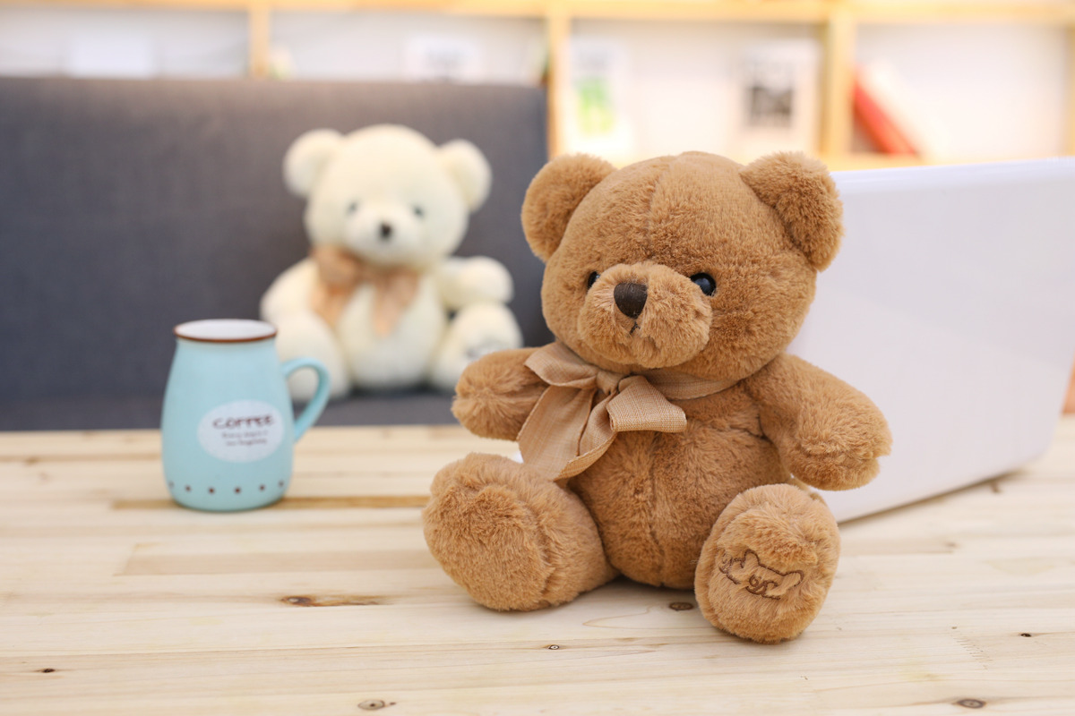 可爱泰迪熊公仔毛绒玩具兜兜熊玩偶熊布娃娃创意女生礼物批发定制