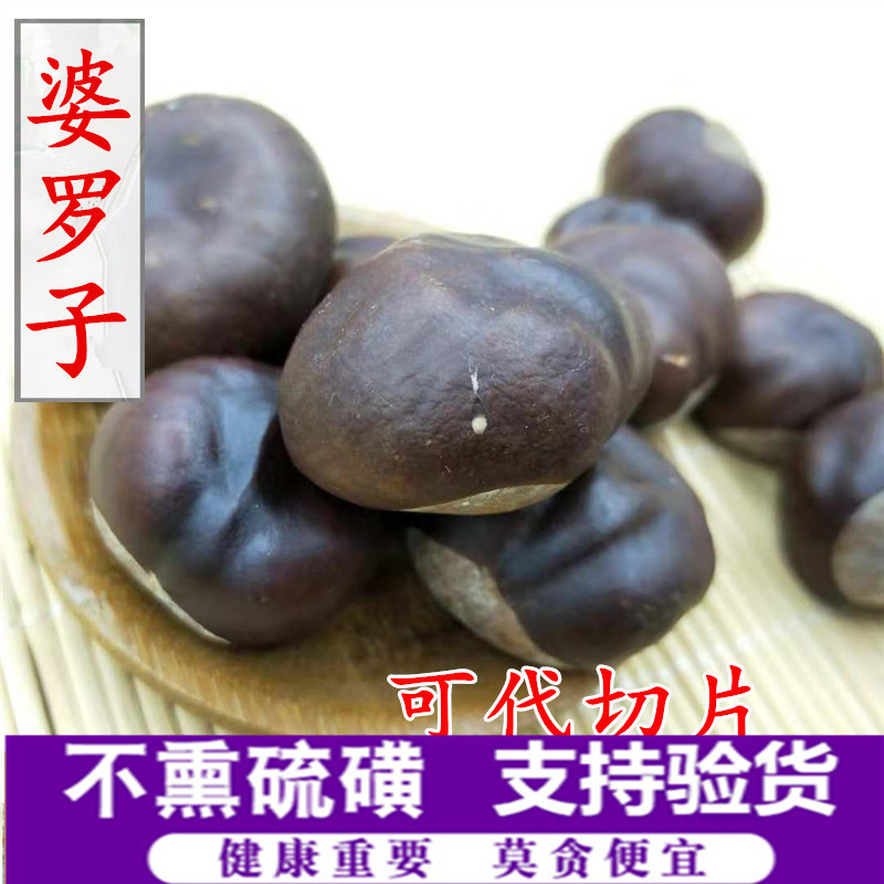 娑罗子中药材 梭罗子 婆罗子 桫椤果 支持药检 产地货源 承接订单