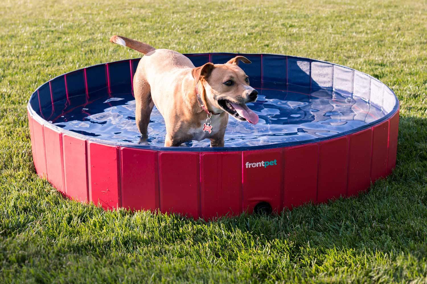 厂家直销pvc宠物水池 狗狗动物洗澡池可折叠猫咪浴盆便携浴池定制