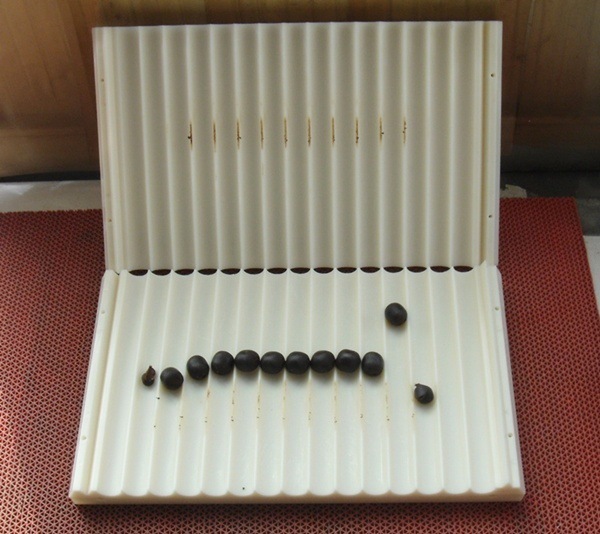 手工搓丸板手动家用奶豆自动制蜜丸水丸药丸小型中药泥丸器制丸机