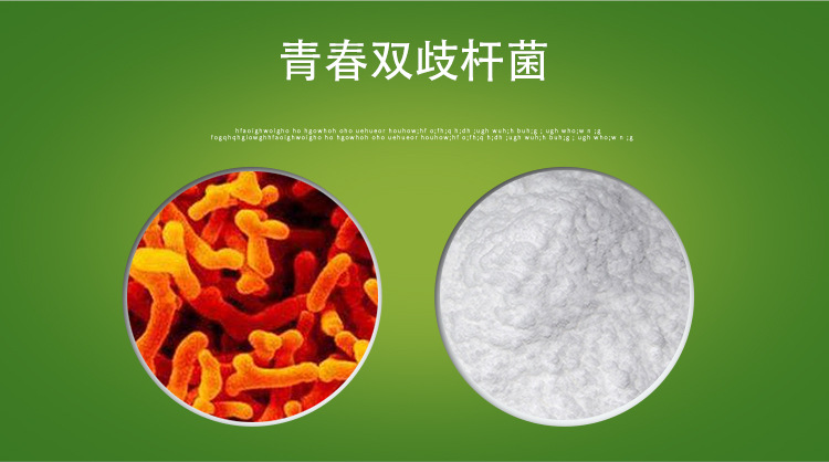 青春双歧杆菌 1000亿活性 乳酸菌益生菌 乳酸菌冻干粉 现货包邮