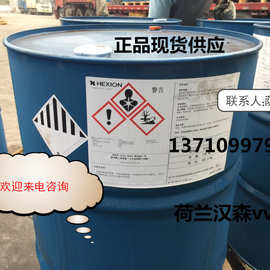 供应荷兰瀚森叔碳酸乙烯酯vv-10广州现货供应