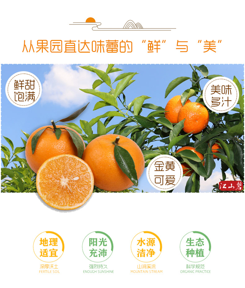 江山碧 沃柑带箱新鲜当季水果桔子丑橘子砂糖皇帝柑批发