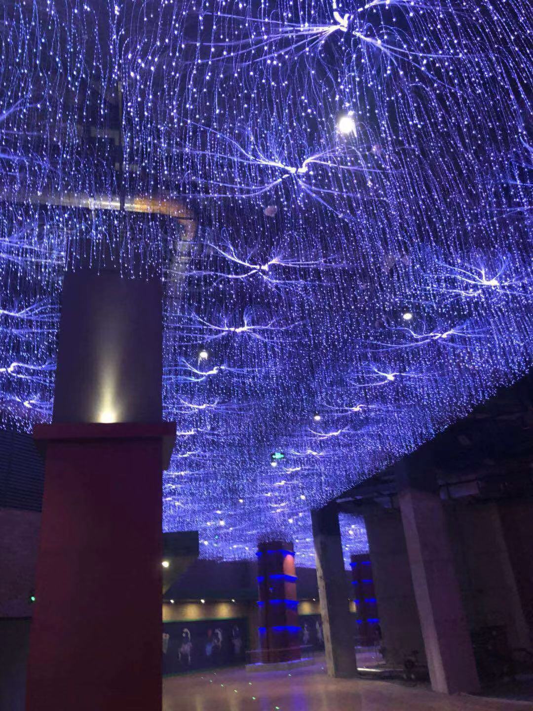 定制网红光纤灯餐厅星空走廊led光纤吊灯酒店酒吧满天星纤维灯