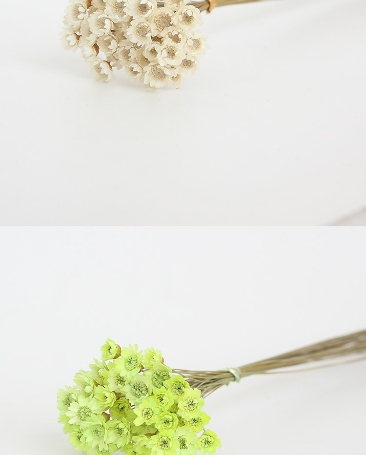 2cm 杆子长25cm左右               迷你小星花一束约150支左右 长度