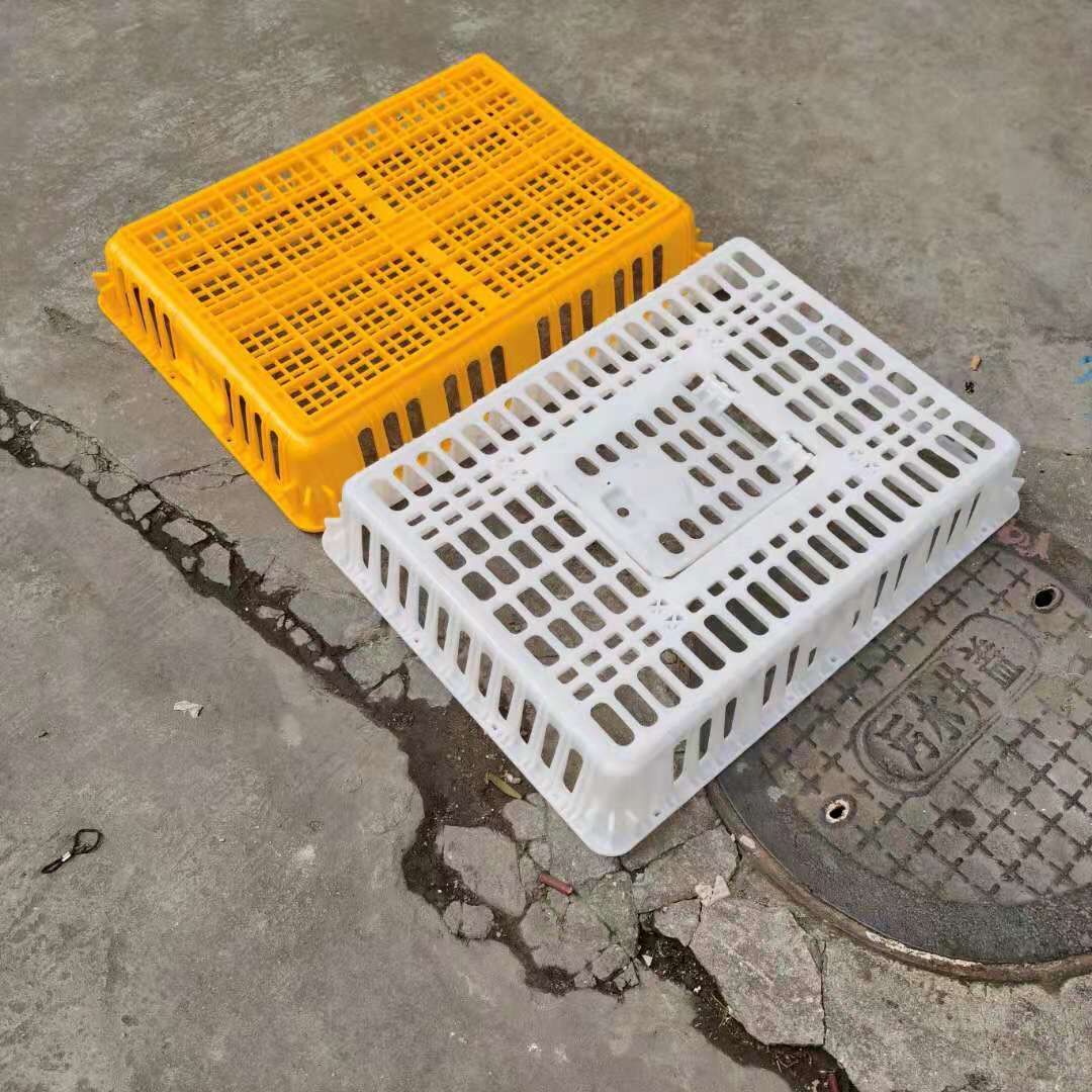 加厚塑料鸡笼 鸡鸭鹅运输笼 鸡鸭运输周转笼 东莞厂家供应各地