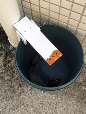 跷跷板水桶捕鼠器 连续捕鼠器易捕家用木制捕鼠跷跷板