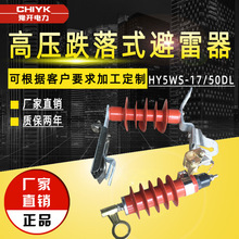 YH/HY5WS-17/50L高压氧化锌避雷器 10KV可卸式配电型避雷器跌落式