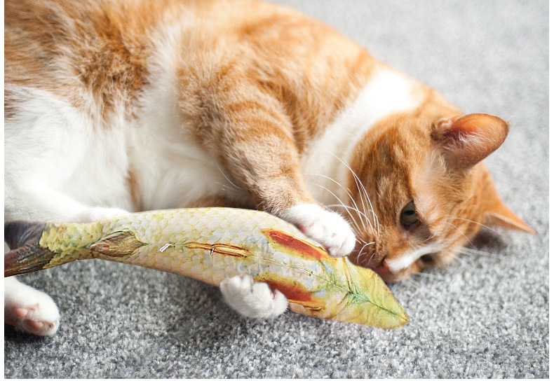 猫玩具鱼薄菏3d仿真鱼立体逼真抱枕毛绒互动逗猫啃咬猫咪鱼形外贸