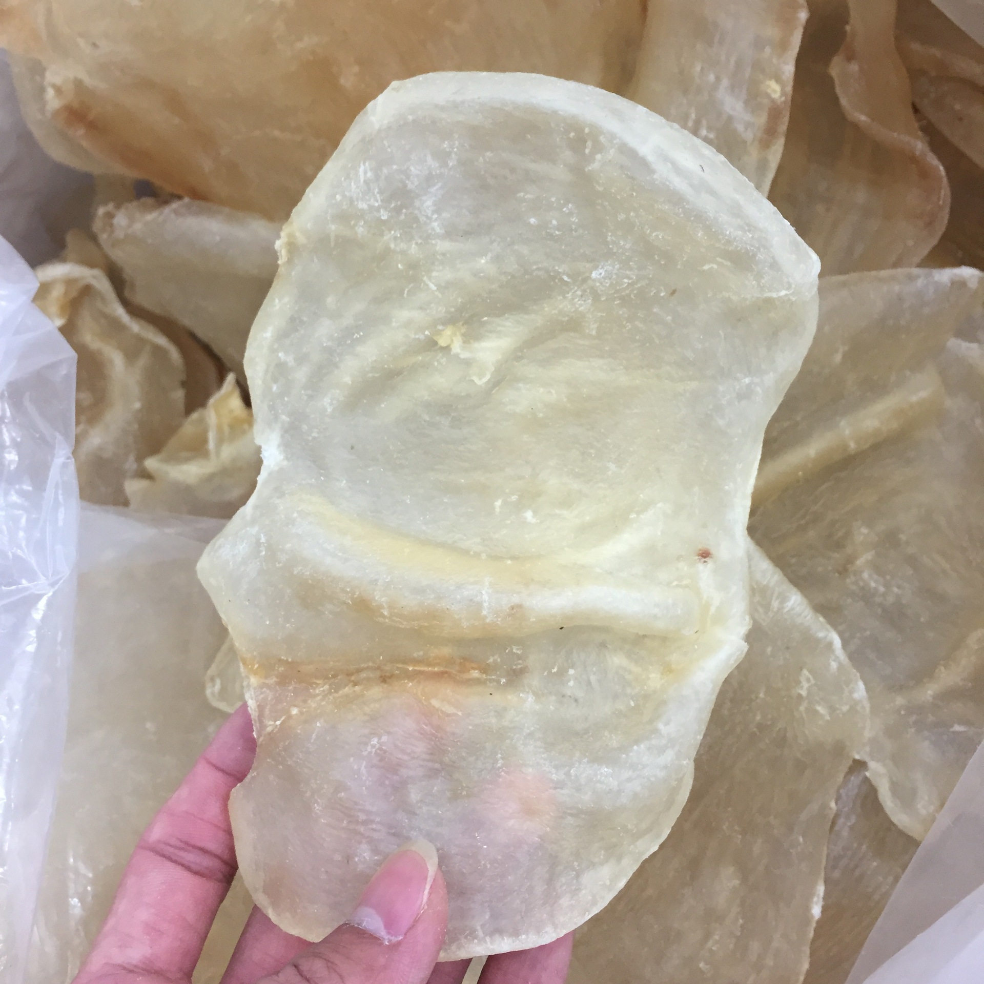 批发渠道天然野生深海白花胶 蝴蝶胶 鱼胶 蝶肚鱼肚花胶干贷500g