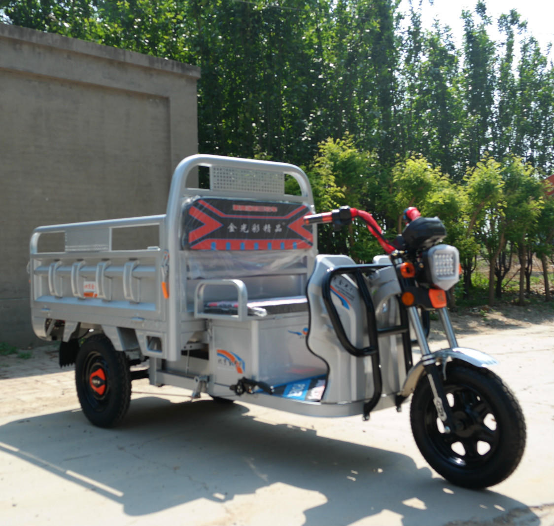 5*1米北京金光彩拉货载重货运定制logo电动三轮车