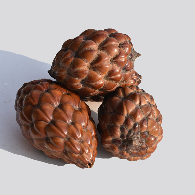 天然铁树籽文玩手串 菩提子原籽 手把件把玩