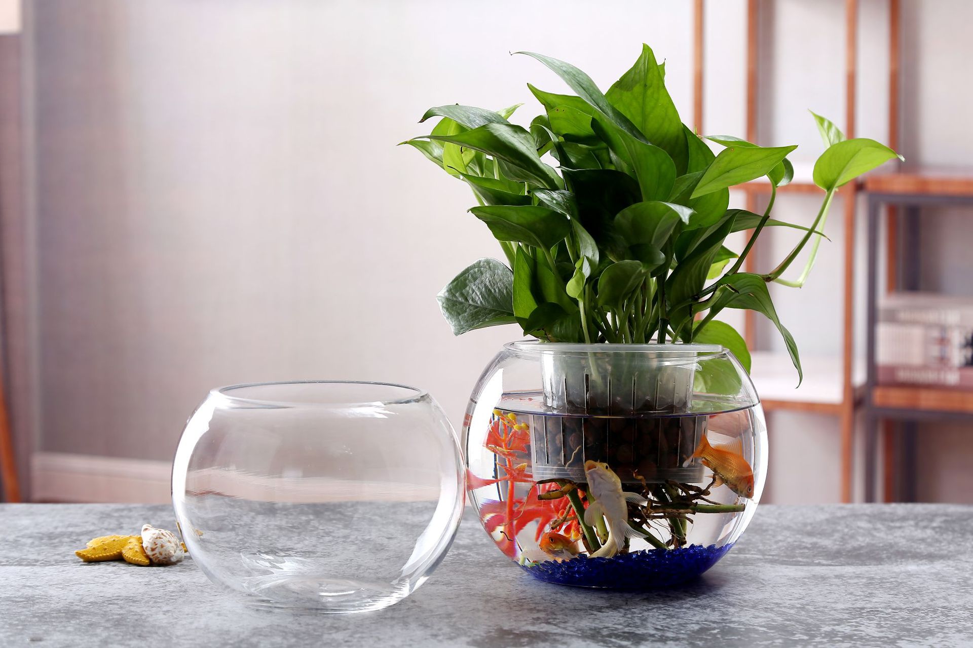 厂家直供圆鱼缸 水培植物小动物玻璃摆件绿萝办公室水养玻璃器皿