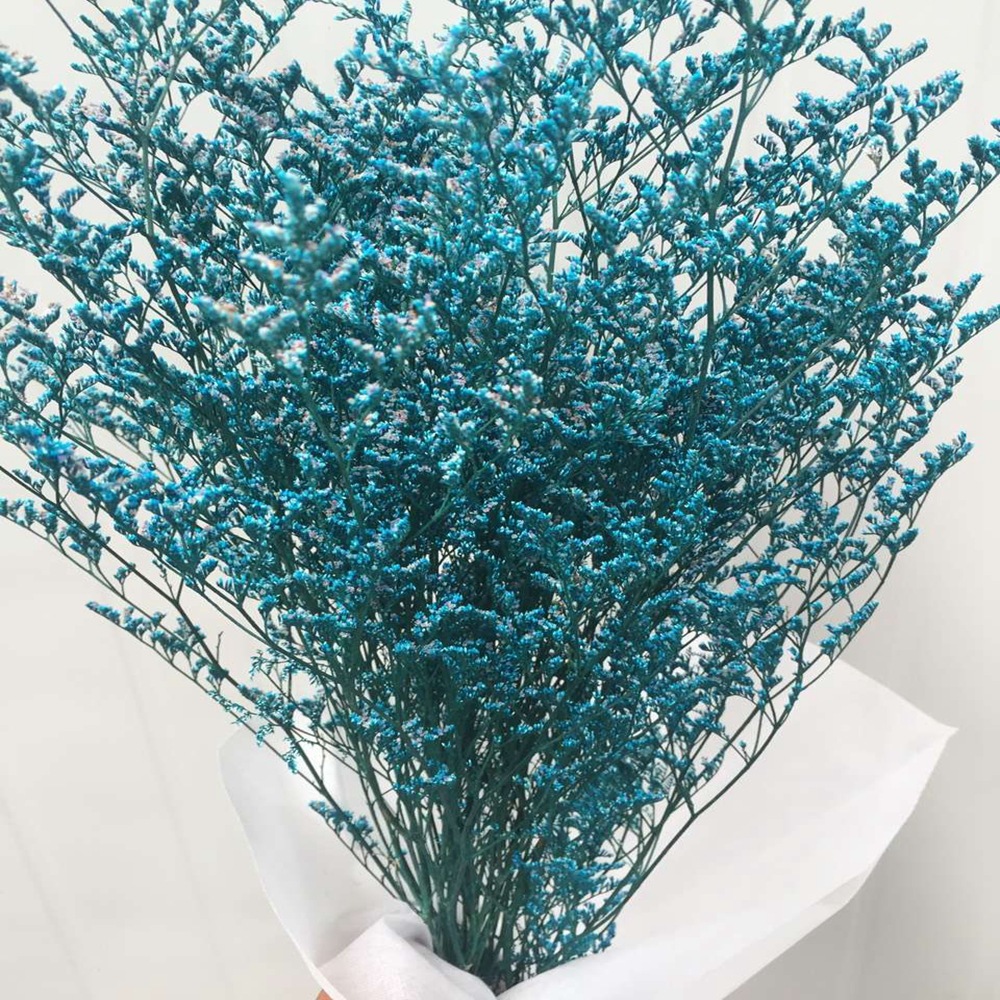 云南七夕情人节永生花diy花艺配花礼盒配材情人草保鲜花产地直销