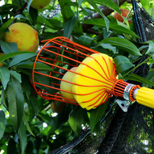 多功能伸缩摘果器园林工具水果采摘神器采摘梨柿子摘果器不锈钢杆