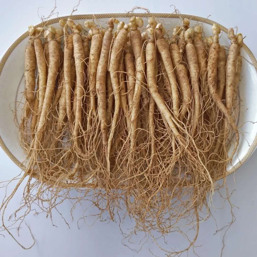 【15支小参】地道~中老年人长白山~人参~~中老年人鲜人参~~泡酒