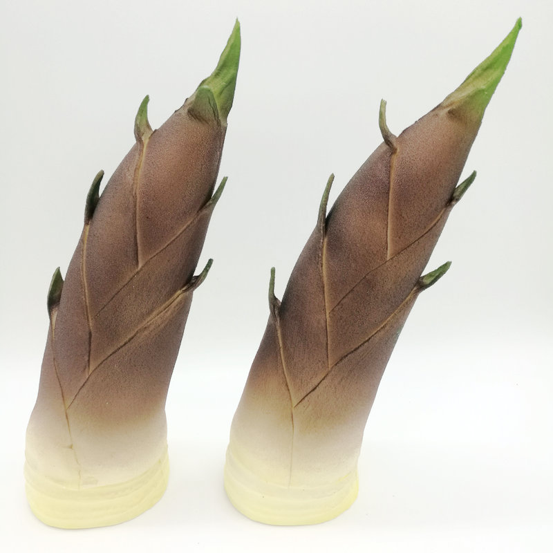 仿真竹笋毛笋模型 橱柜装饰 绘画写生假冬笋春笋蔬菜摆设装饰品