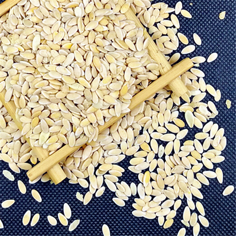 甜瓜子 中药材批发 甜瓜籽 五谷磨房用香瓜子 新货 量大从优