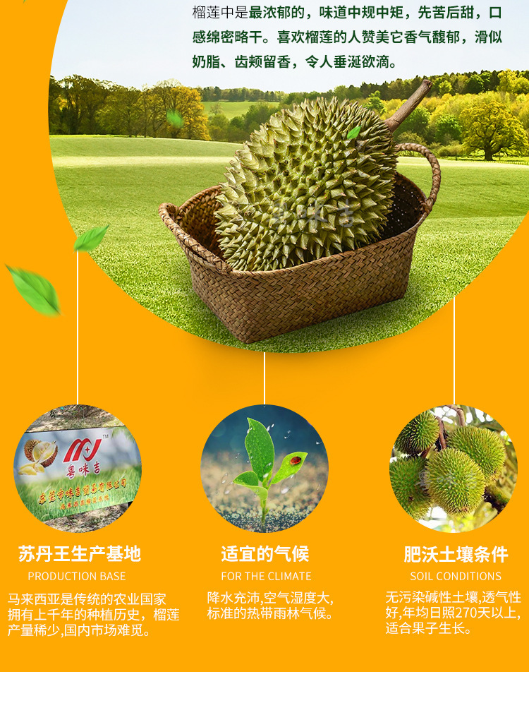 马来西亚无核苏丹王榴莲肉d24果泥(马六甲)冷冻榴莲泥2kg/包 批发