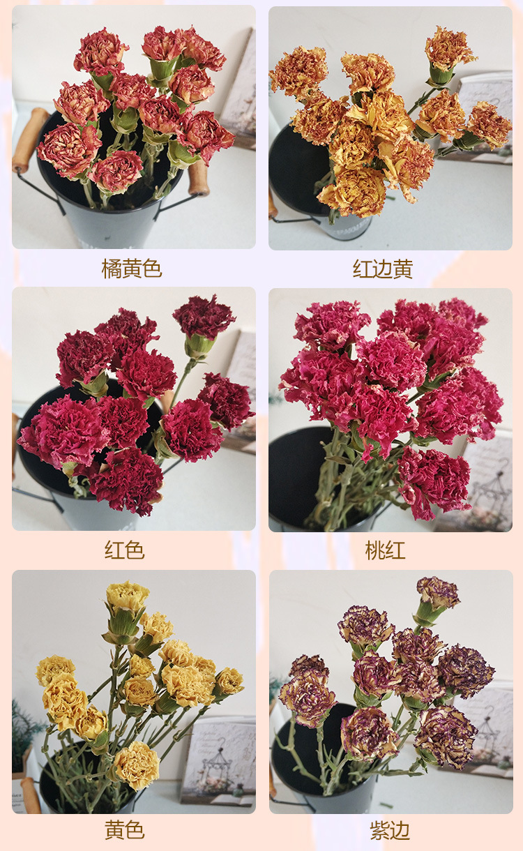 康乃馨干花花束装饰摆设风干花束真花教师节情人节创意礼物乾燥花