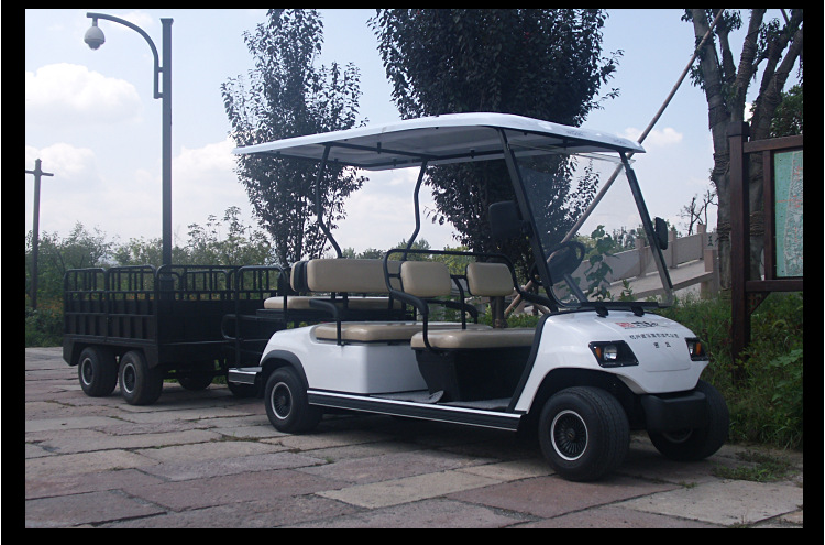 lt-a4 2电动车 广东绿通六人座电瓶观光车