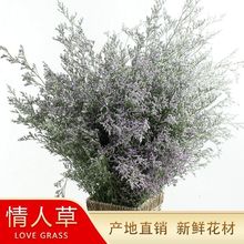 云南鲜花批发情人草干花花束家居装饰小清新拍摄道具永生真花摆设