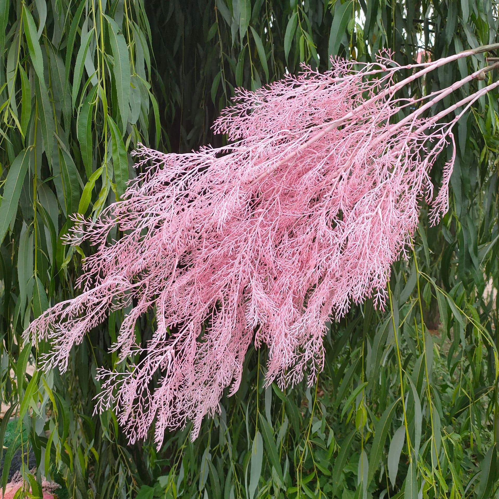 仿真雾凇草迷雾凤尾干花婚庆花拱门吊顶假花仿真迷雾花垂吊雾松