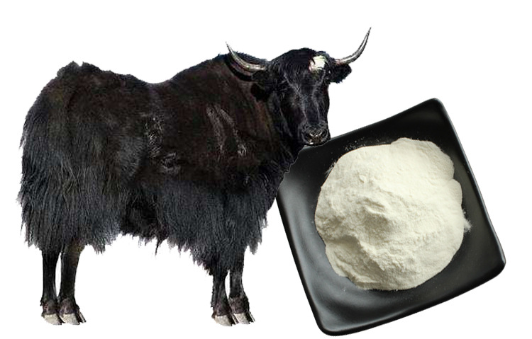 牛骨髓肽 600da牦牛骨肽 1kg骨胶原蛋白肽 低聚肽粉 牦牛骨髓肽