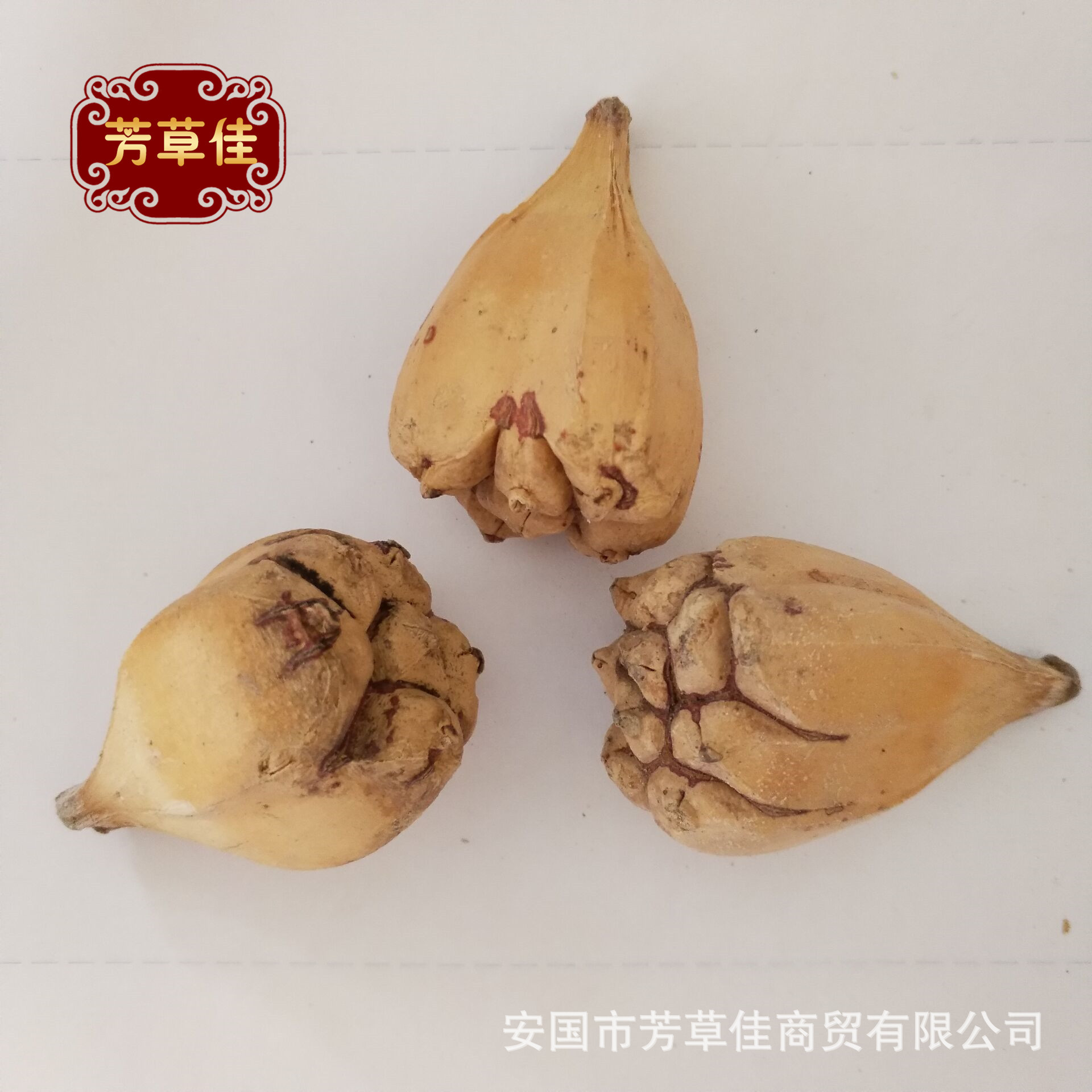 批发冷背中药材山菠萝 滴血莲花原籽 莲花菩提子 野菠萝