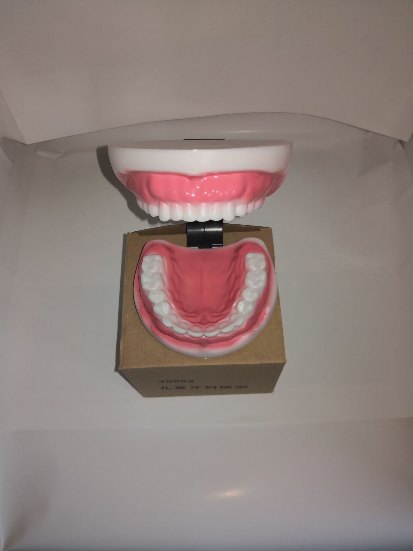 厂家直销儿童牙列模型j39052小学科学实验器材教学仪器