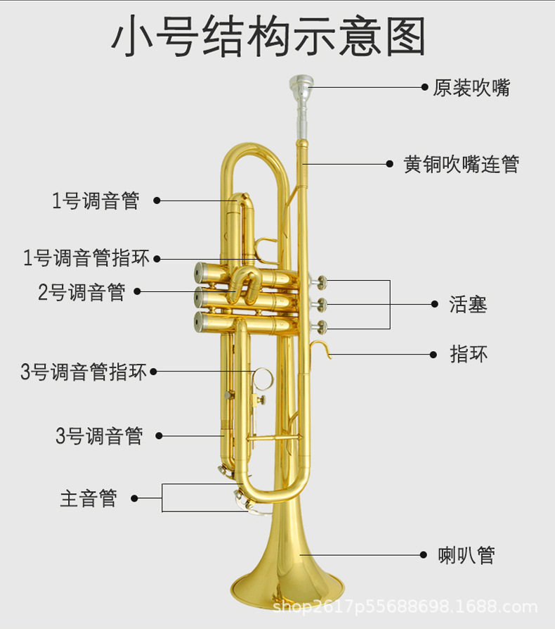 批发 津宝小号乐器jbtr-300小号金色银色初学降b调招标厂家直销