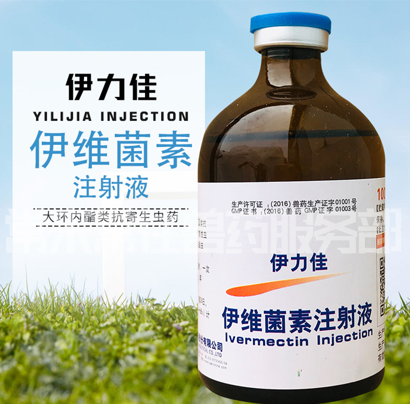 兽药 伊力佳伊维菌素注射液 猪牛羊打虫药线虫螨虫体内外驱虫针剂