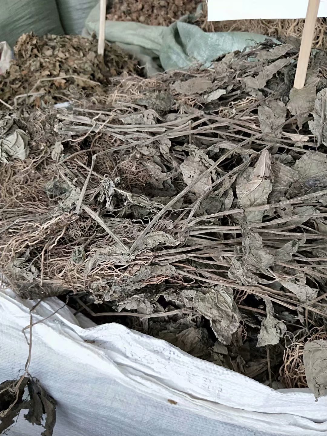 中药材四块瓦 四叶对 四叶细辛 万根丹 每件500克