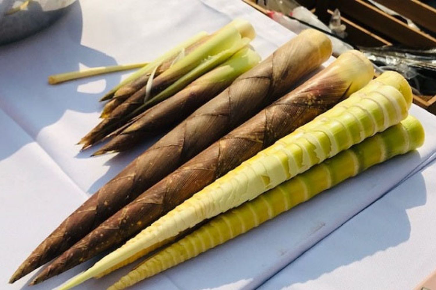 1袋包邮重庆特产驰越金佛山方竹笋火锅笋片笋尖鲜笋片冒菜 250g