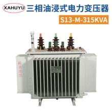 三相油浸式电力变压器S13-M-315KVA 高压变压器 大型电力变压器