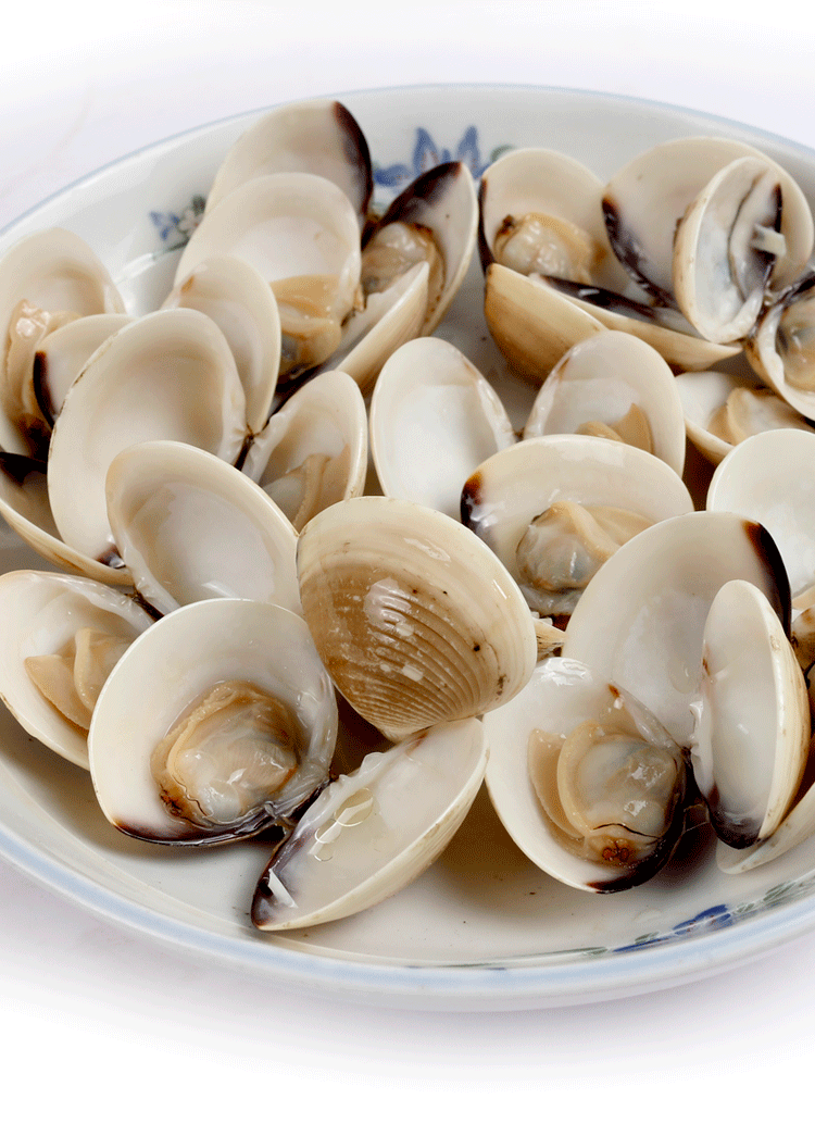 花蛤海鲜鲜活水产贝类东海象山当天现挖新鲜到家蛤喇蚬子花甲贝壳