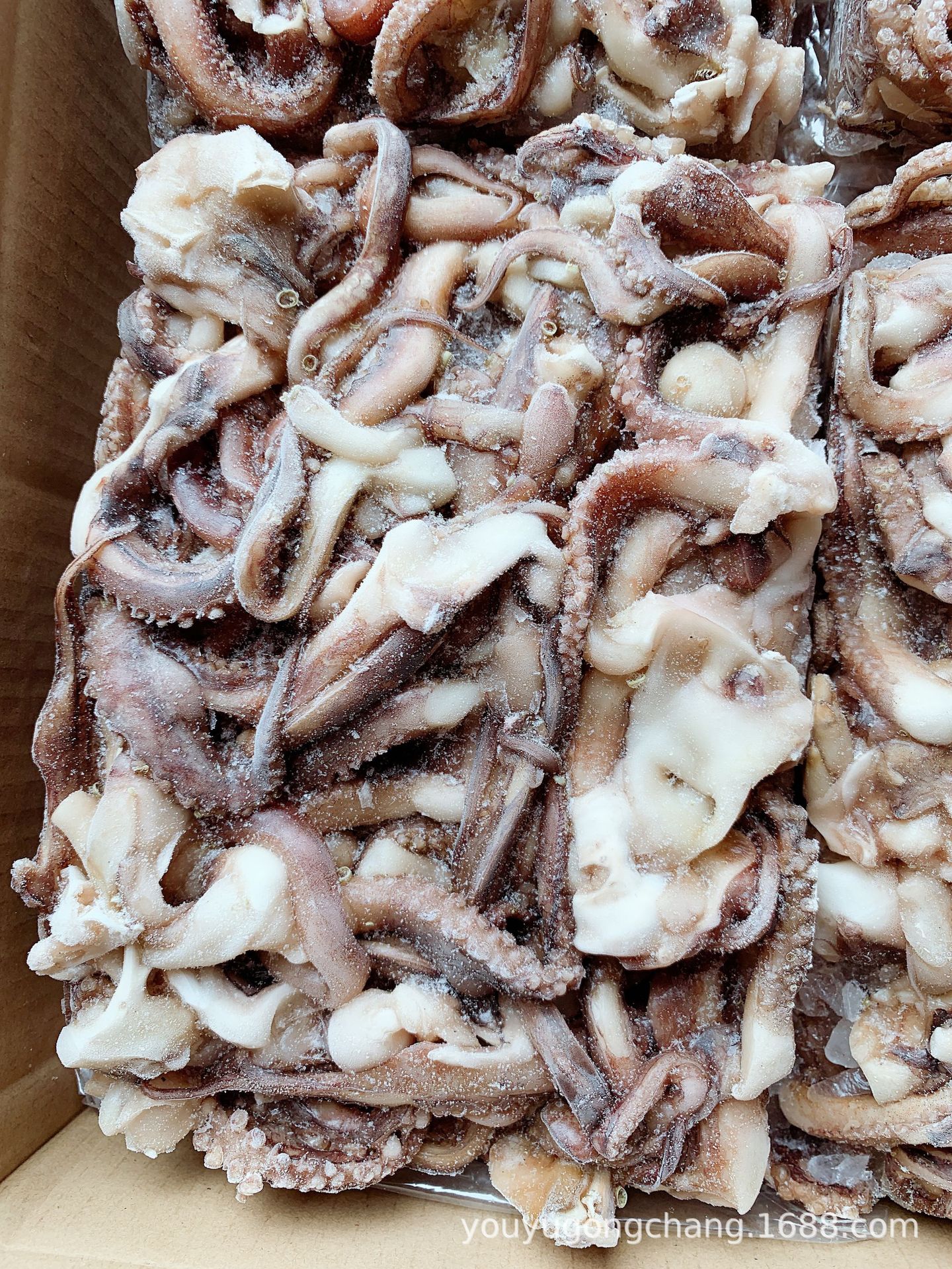 惠心源鱿鱼系列供应冷冻鱿鱼 秘鲁鱿鱼须/等火锅食材/秘鲁二本足