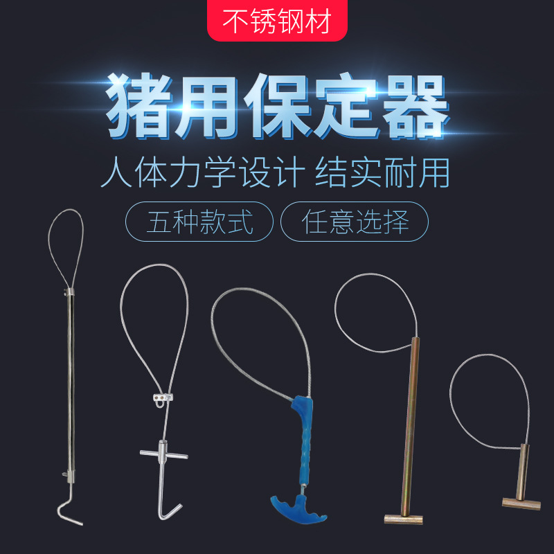 不锈钢猪套子套定器 套猪器 畜牧猪用牲畜保定绳 保定器 兽用器械
