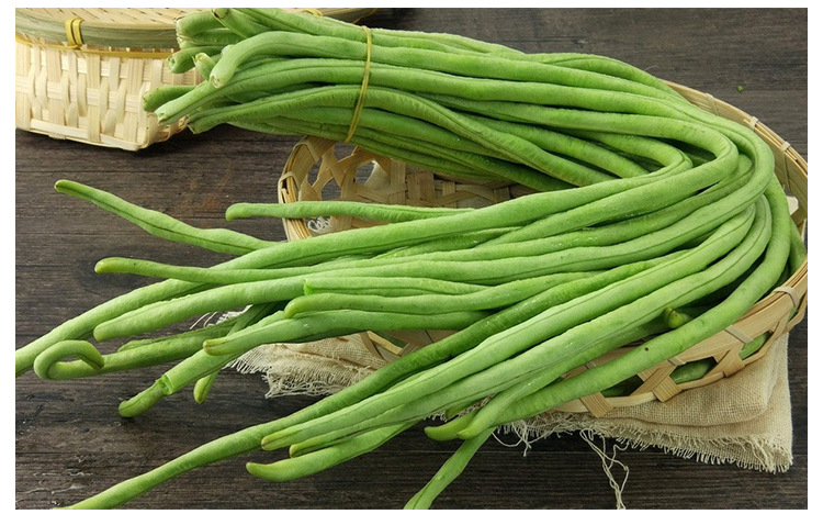 绿荚青条长豆角种子 菜豆特长豇豆籽 四季豆荚深绿早熟高产春秋播