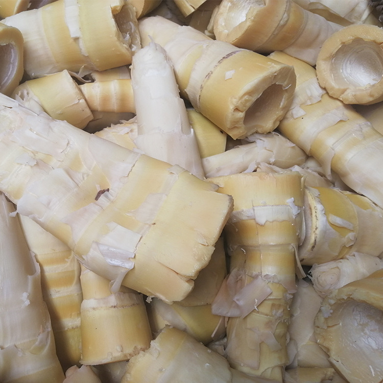 百笋园福建特产笋尾 笋尖乳酸发酵笋 厂家直销 现货批发麻笋蔬菜