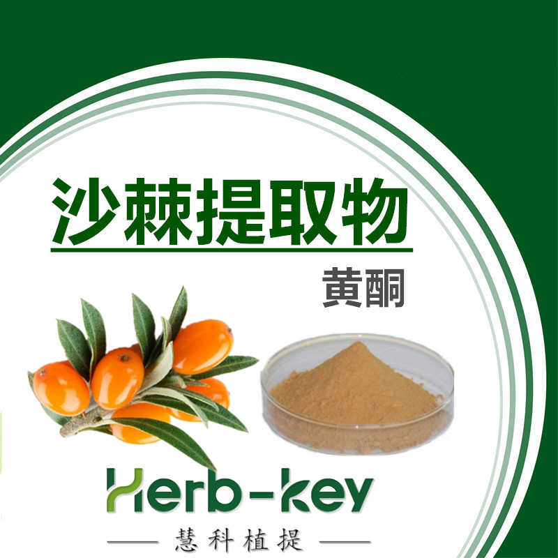 沙棘黄酮5% 沙棘提取物 沙棘粉 量大优惠 现货包邮
