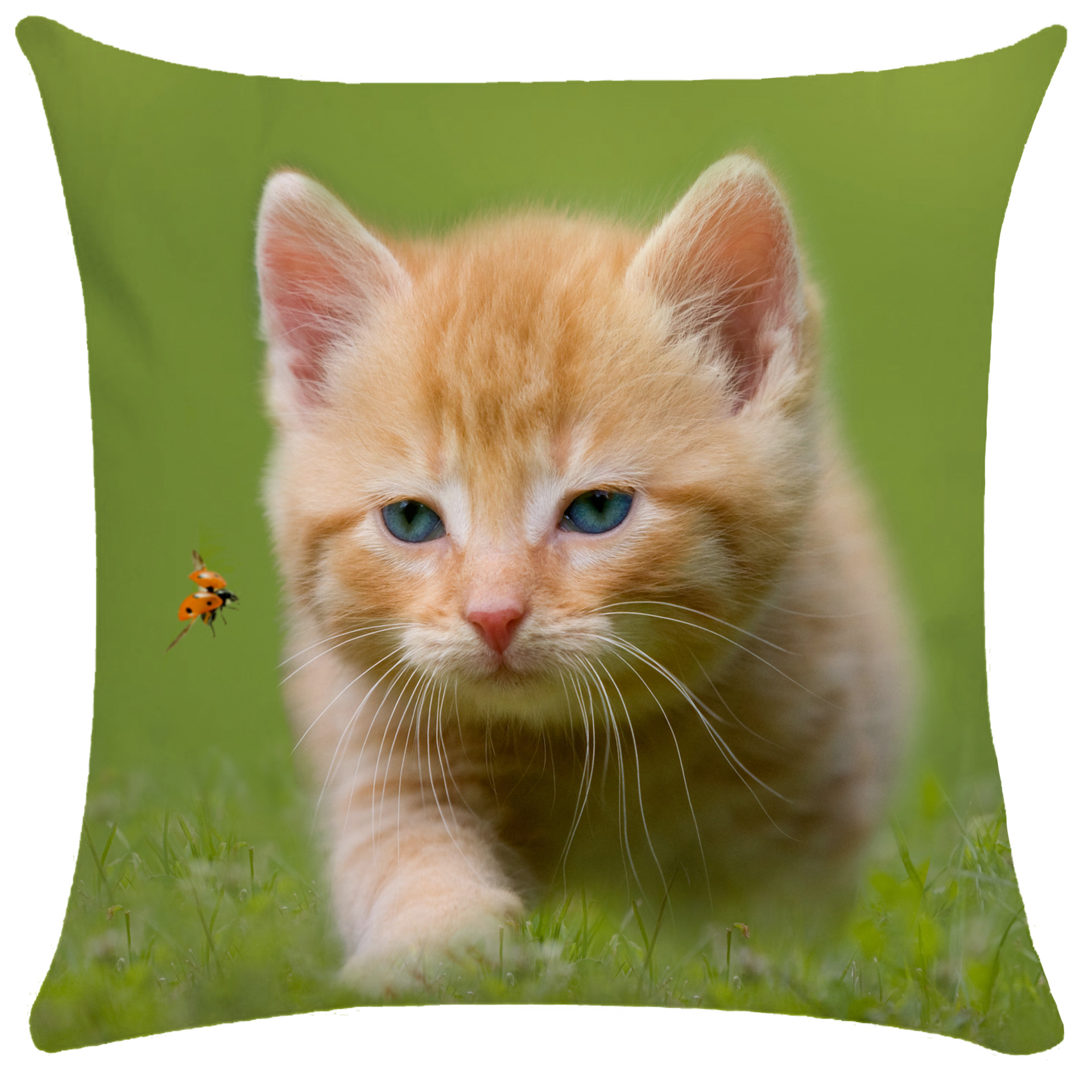 宠物猫枕套超柔呆萌可爱猫咪短毛绒单双面抱枕外贸靠枕跨境爆款