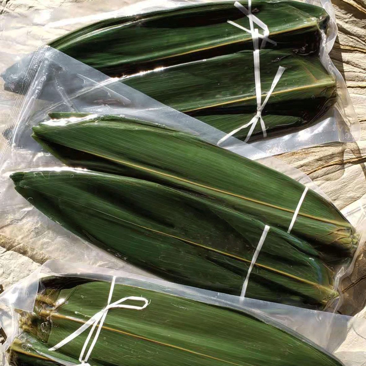 真空新鲜粽叶摆盘装饰刺身装饰日式料理粽叶子笹叶寿司竹叶3000片