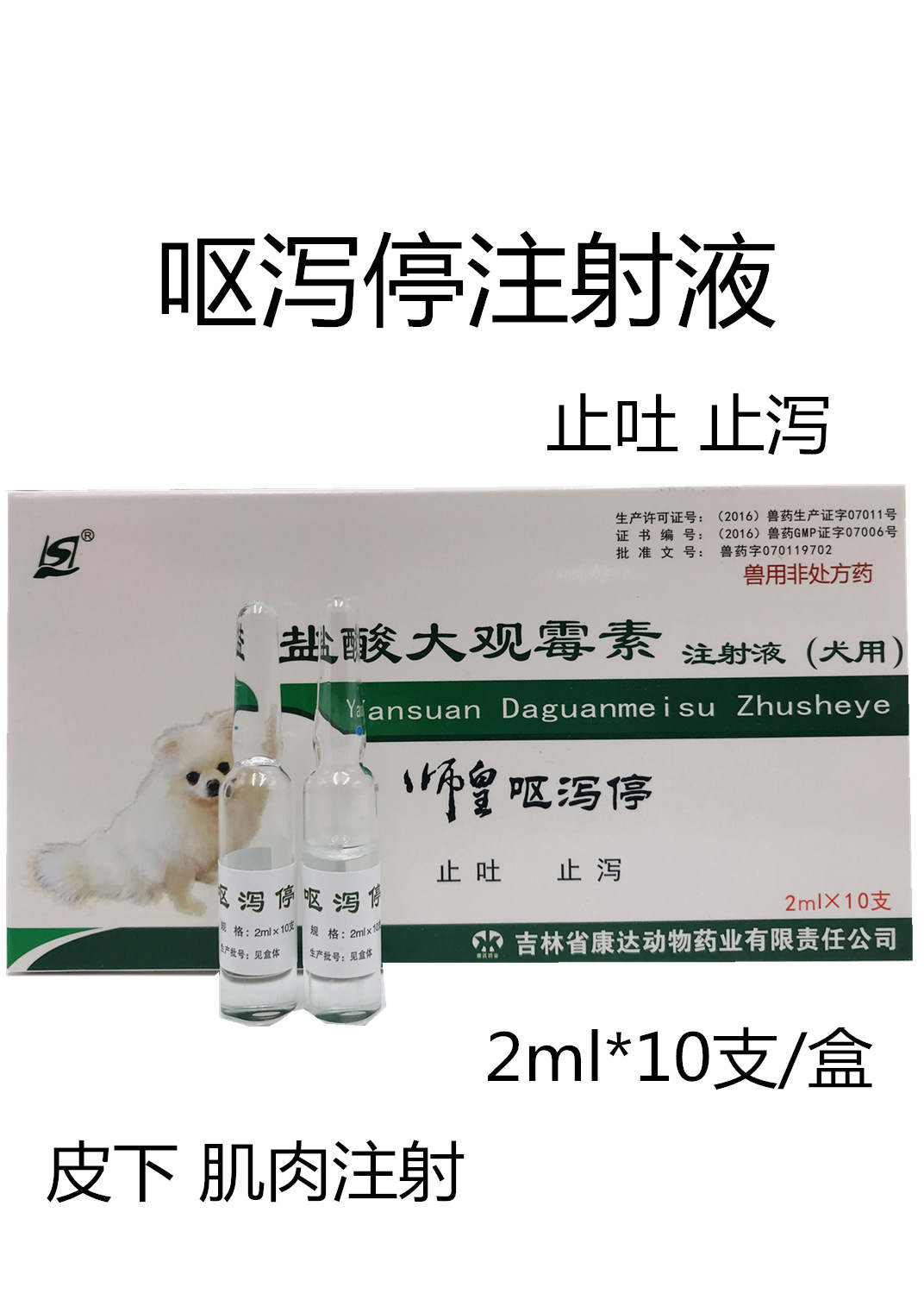 马头牌犬猫用犬毒瘟灵注射液穿心莲注射液 5ml*6支一盒 60盒/件