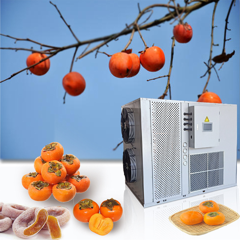 快烘柿子饼烘干机价格柿饼柿子饼烘干设备空气能柿子饼烘干机厂家