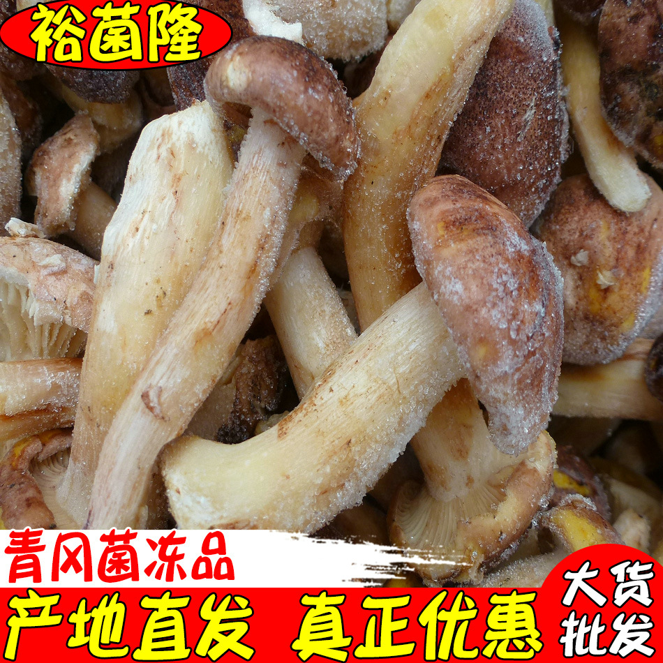 【裕菌隆】 速冻青杆菌 酒店青冈菌冻品 火锅店野生菌冻品批发