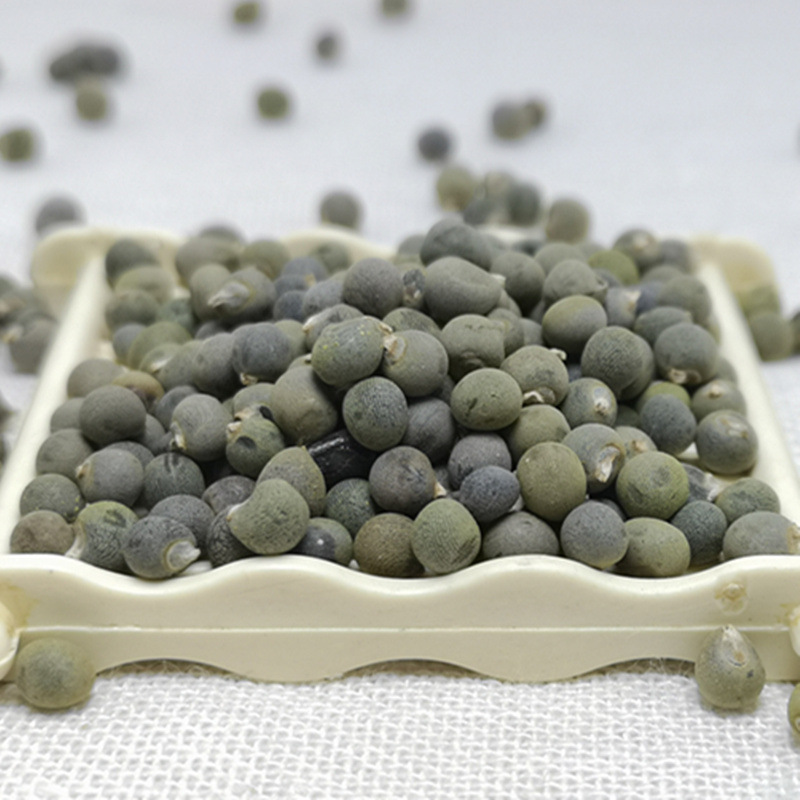 批发 中药材 黄秋葵籽 秋葵籽 黄蜀葵子 新货 承接订单