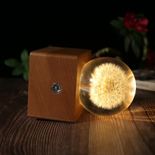 大夜灯八音盒水晶球蒲公英标本摆件木质工艺品圣诞永生花生日礼物